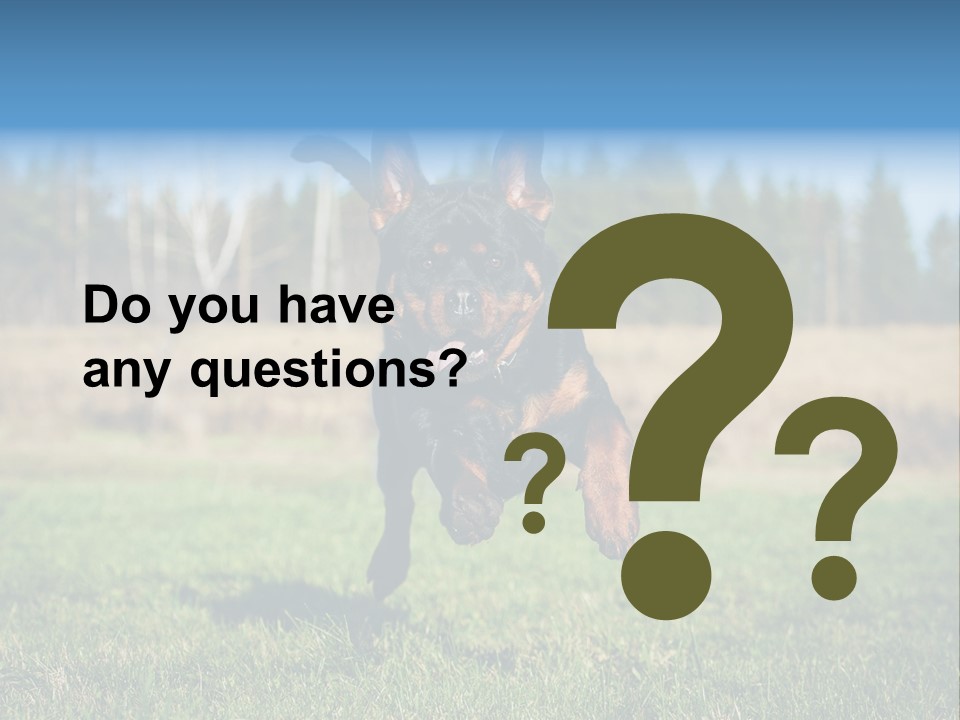 A Black And Brown Dog Jumping In The Air PowerPoint Template