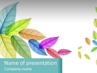 A Colorful Leaf Powerpoint Presentation Is Shown PowerPoint Template