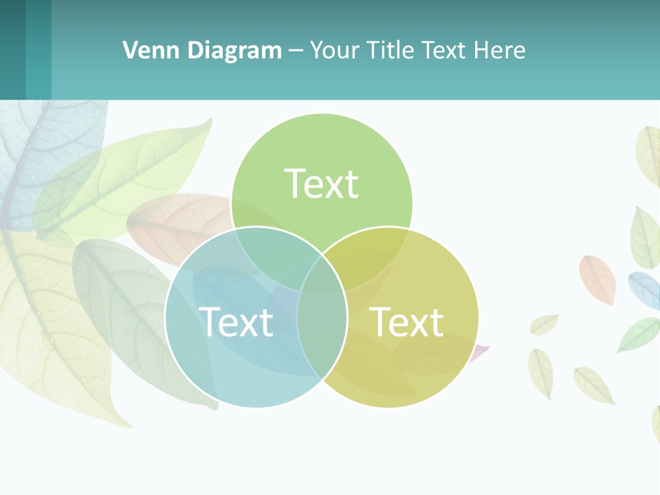 A Colorful Leaf Powerpoint Presentation Is Shown PowerPoint Template