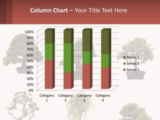 A Group Of Bonsai Trees With A White Background PowerPoint Template