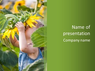 A Young Girl Holding A Sunflower In Her Hands PowerPoint Template