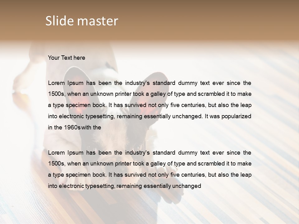 A Small Dog Laying On A Wooden Floor PowerPoint Template