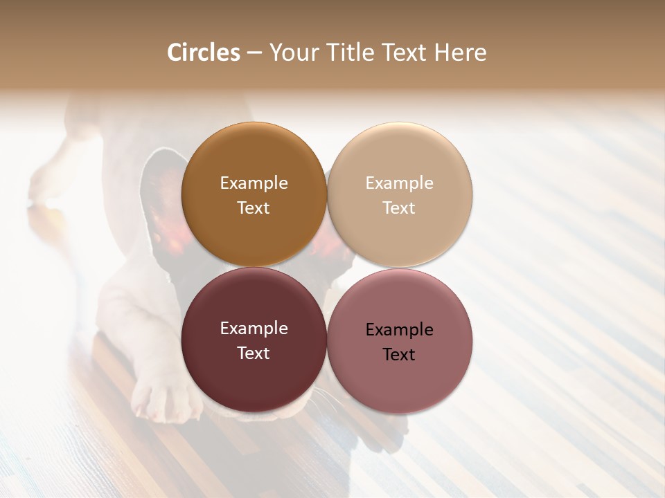 A Small Dog Laying On A Wooden Floor PowerPoint Template