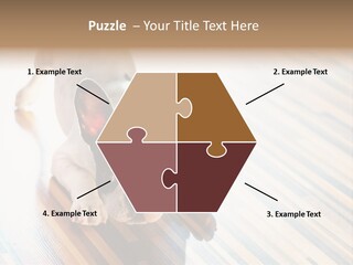 A Small Dog Laying On A Wooden Floor PowerPoint Template