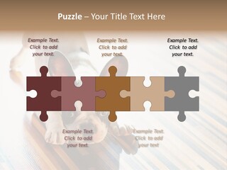 A Small Dog Laying On A Wooden Floor PowerPoint Template