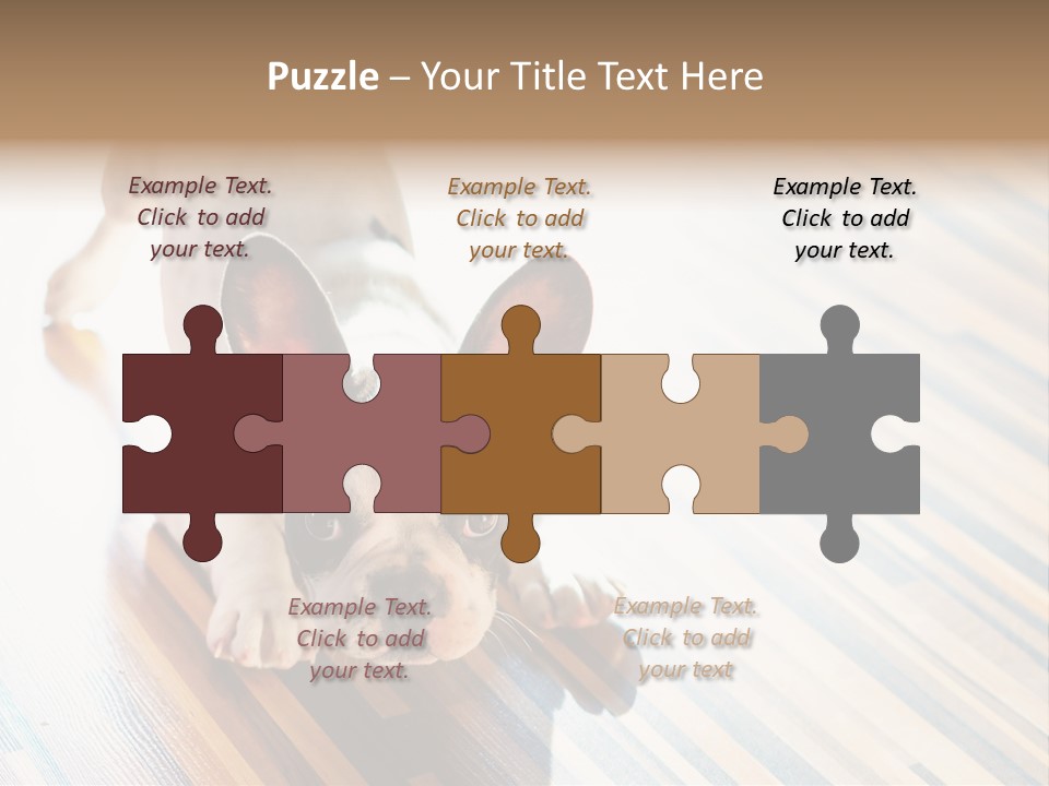 A Small Dog Laying On A Wooden Floor PowerPoint Template