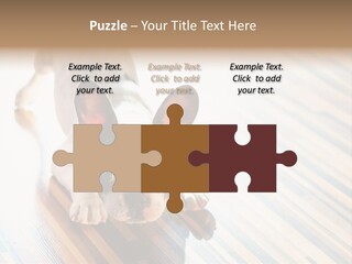 A Small Dog Laying On A Wooden Floor PowerPoint Template