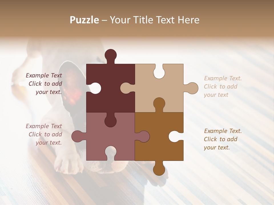A Small Dog Laying On A Wooden Floor PowerPoint Template