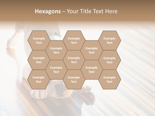 A Small Dog Laying On A Wooden Floor PowerPoint Template