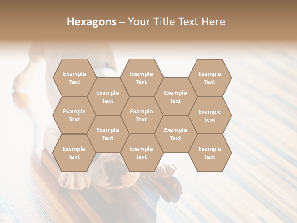 A Small Dog Laying On A Wooden Floor PowerPoint Template