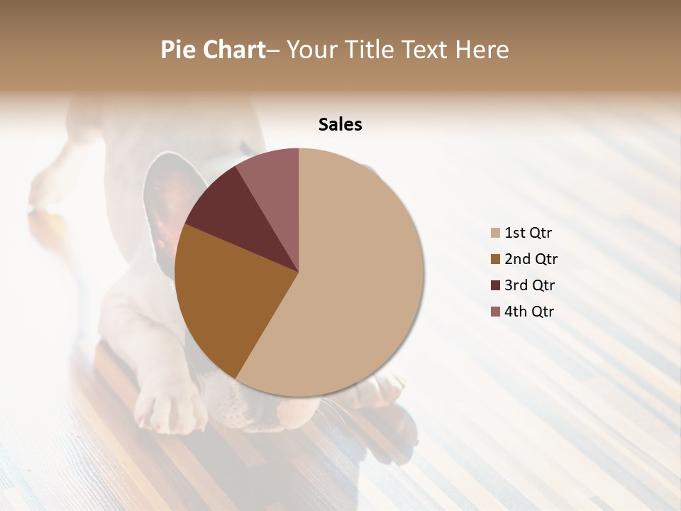 A Small Dog Laying On A Wooden Floor PowerPoint Template