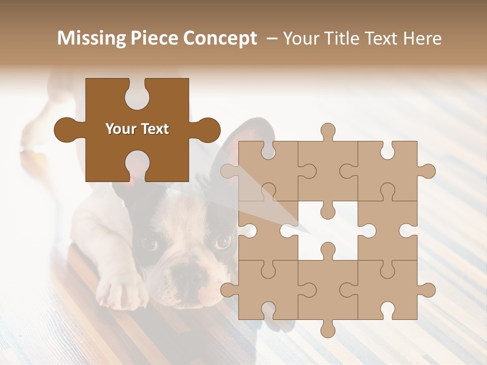 A Small Dog Laying On A Wooden Floor PowerPoint Template