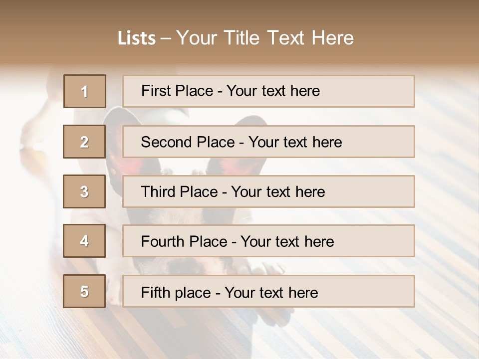 A Small Dog Laying On A Wooden Floor PowerPoint Template