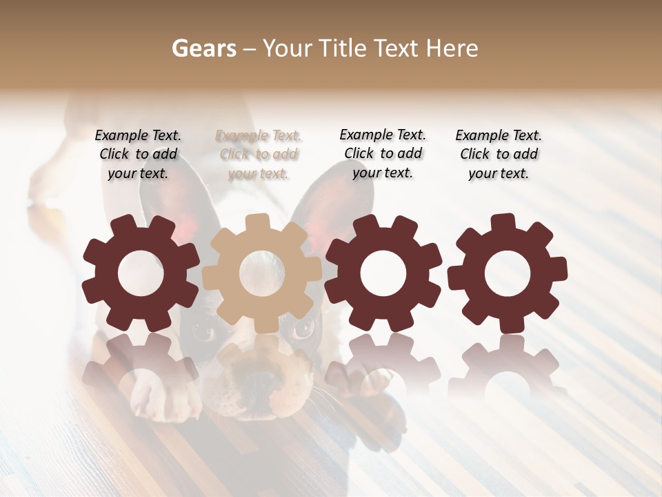 A Small Dog Laying On A Wooden Floor PowerPoint Template