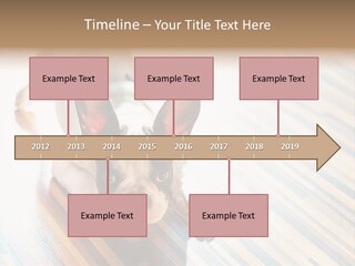 A Small Dog Laying On A Wooden Floor PowerPoint Template