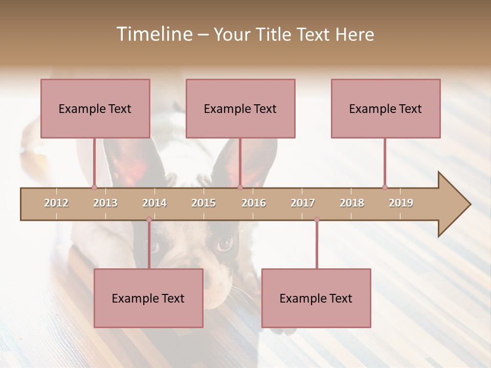 A Small Dog Laying On A Wooden Floor PowerPoint Template