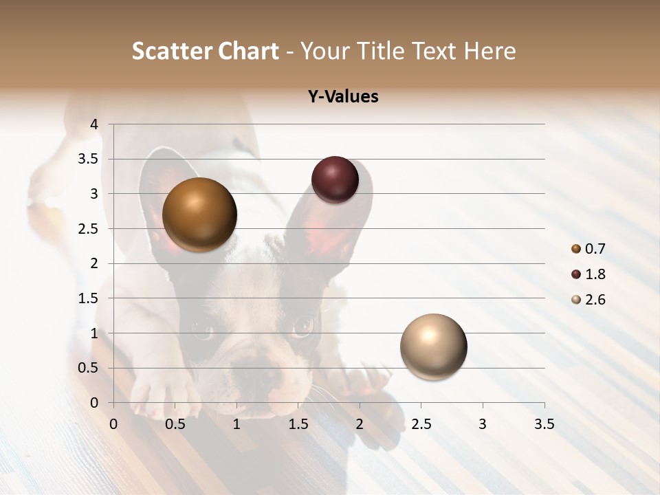 A Small Dog Laying On A Wooden Floor PowerPoint Template