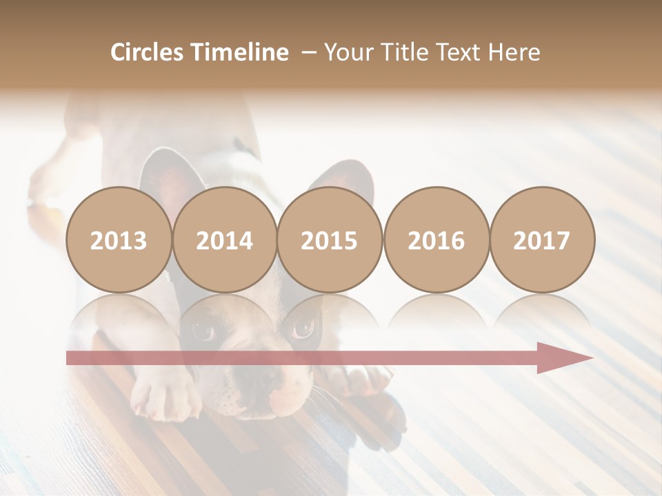 A Small Dog Laying On A Wooden Floor PowerPoint Template