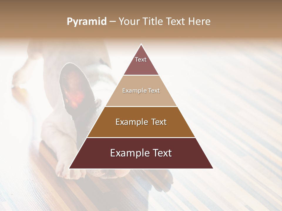 A Small Dog Laying On A Wooden Floor PowerPoint Template