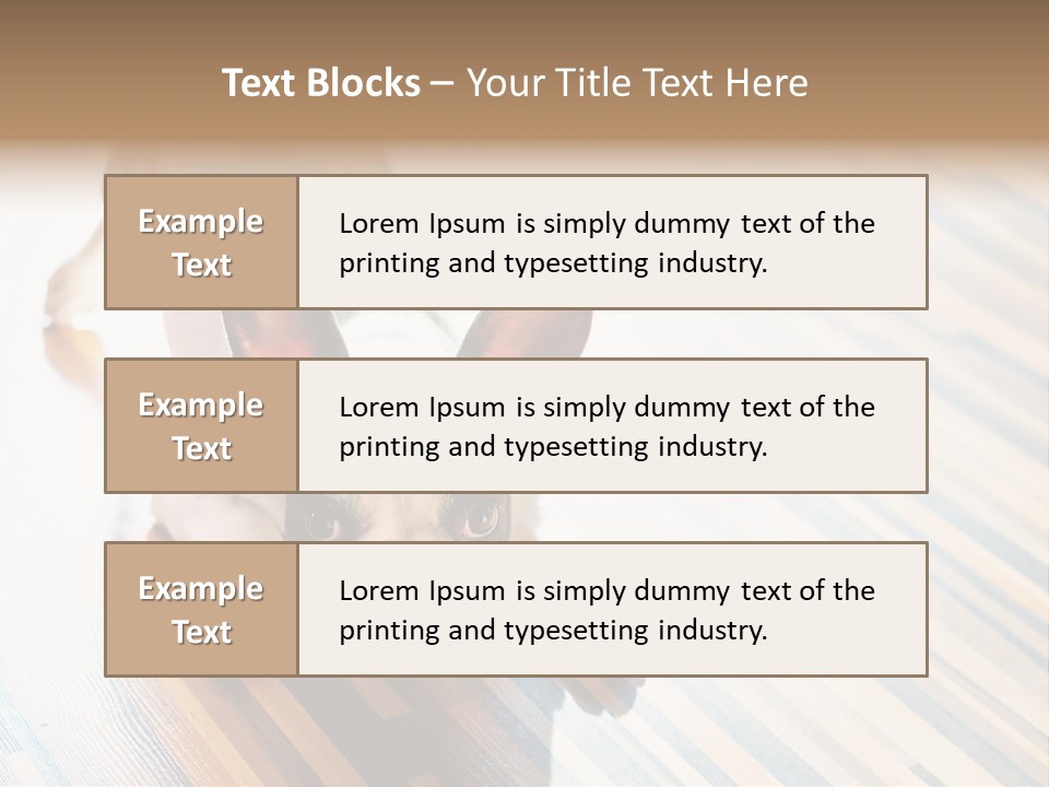 A Small Dog Laying On A Wooden Floor PowerPoint Template