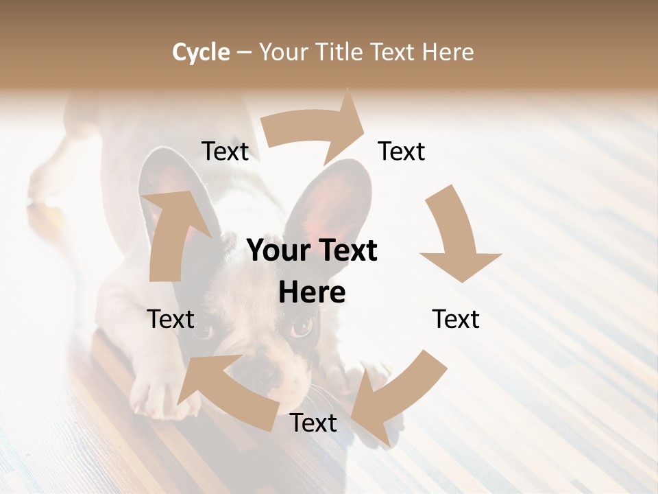 A Small Dog Laying On A Wooden Floor PowerPoint Template