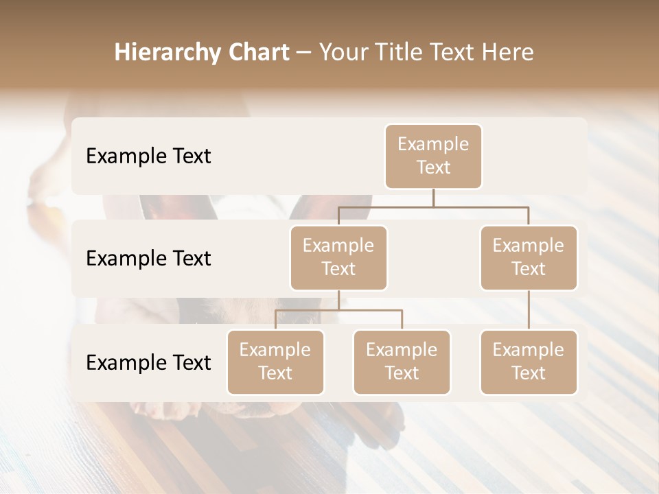 A Small Dog Laying On A Wooden Floor PowerPoint Template