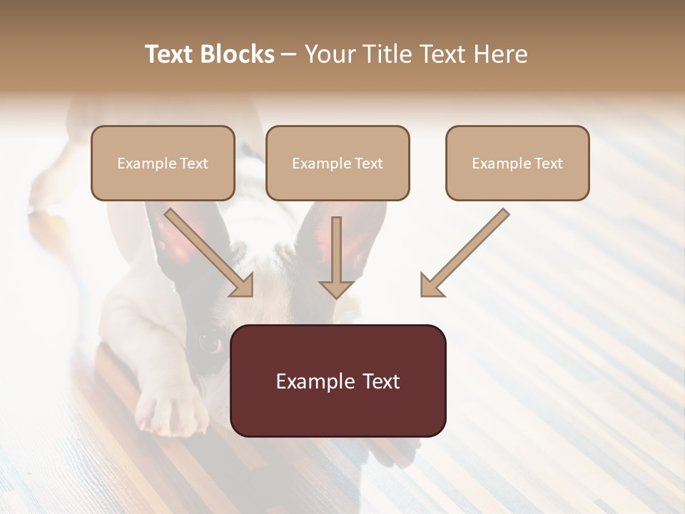 A Small Dog Laying On A Wooden Floor PowerPoint Template