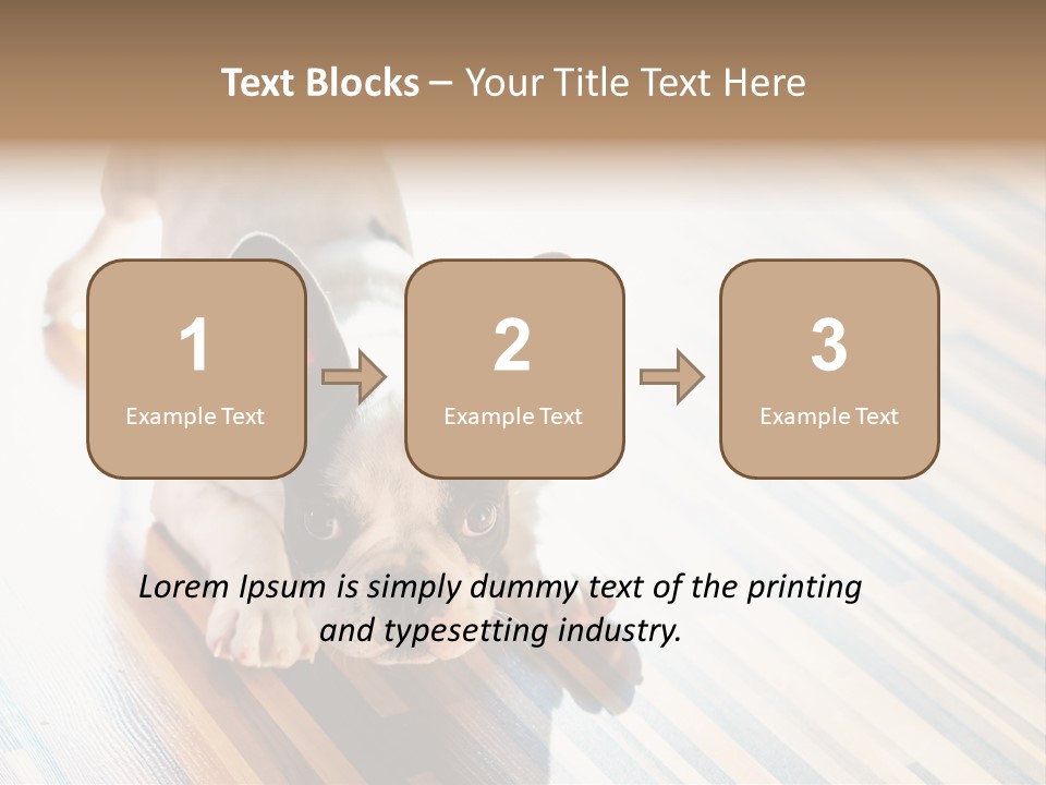 A Small Dog Laying On A Wooden Floor PowerPoint Template