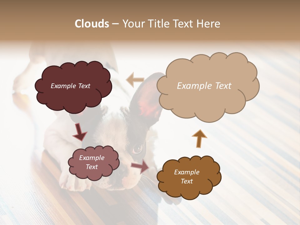 A Small Dog Laying On A Wooden Floor PowerPoint Template