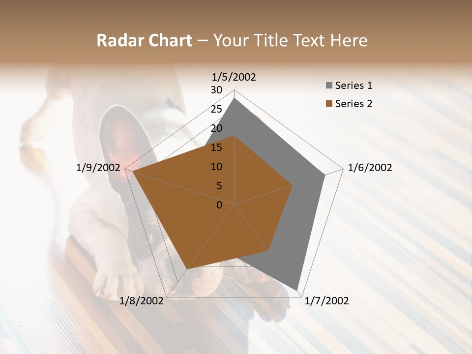 A Small Dog Laying On A Wooden Floor PowerPoint Template