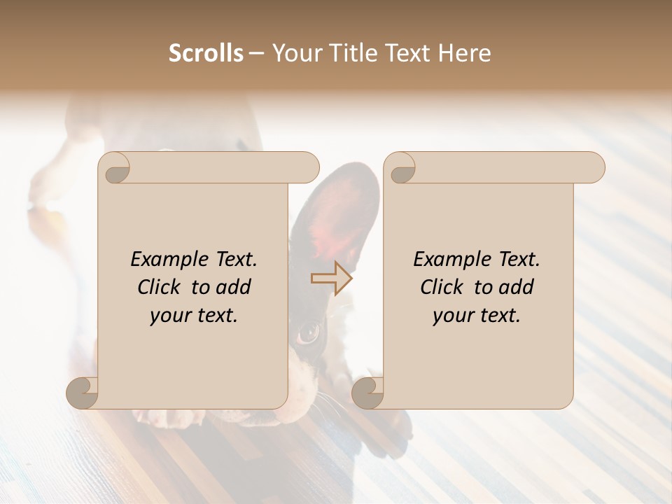 A Small Dog Laying On A Wooden Floor PowerPoint Template