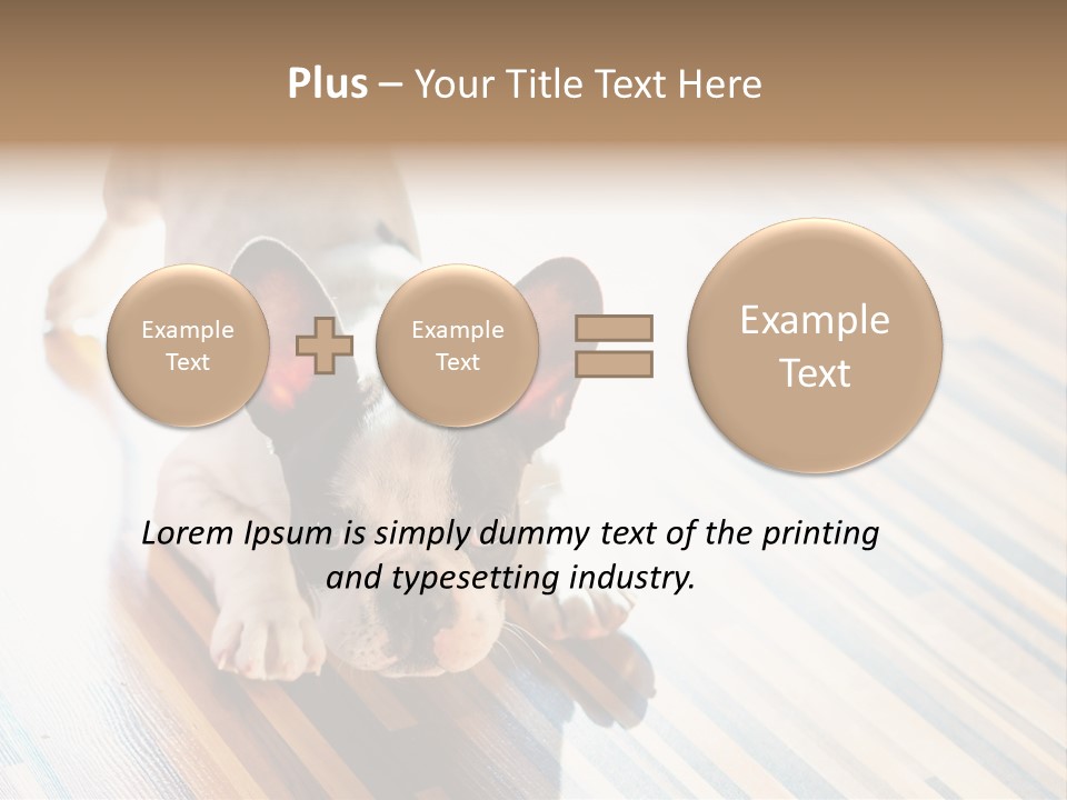 A Small Dog Laying On A Wooden Floor PowerPoint Template