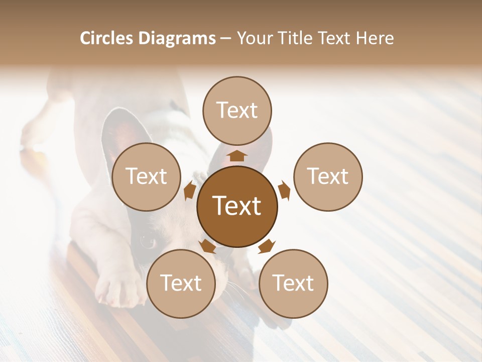 A Small Dog Laying On A Wooden Floor PowerPoint Template