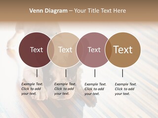 A Small Dog Laying On A Wooden Floor PowerPoint Template
