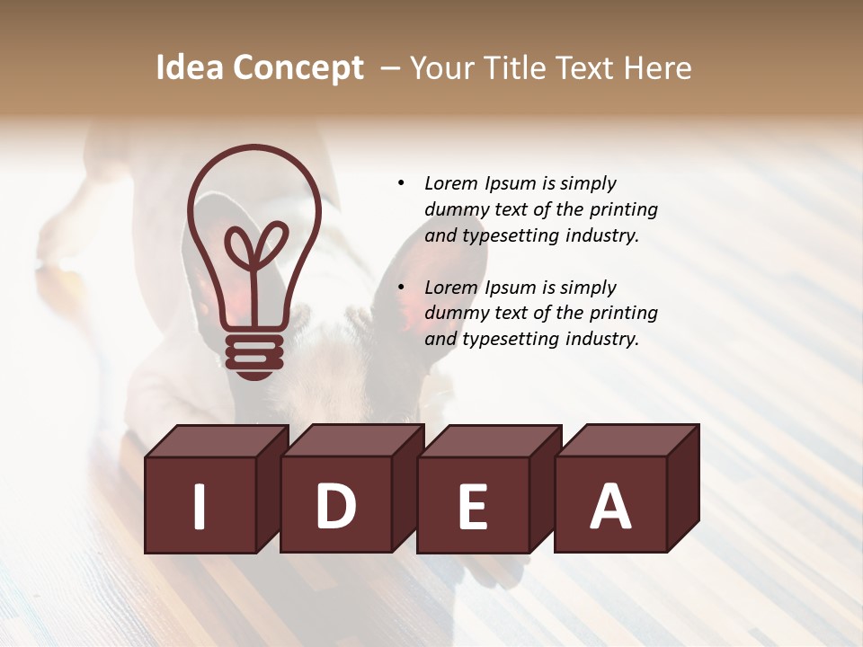 A Small Dog Laying On A Wooden Floor PowerPoint Template