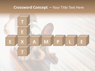 A Small Dog Laying On A Wooden Floor PowerPoint Template