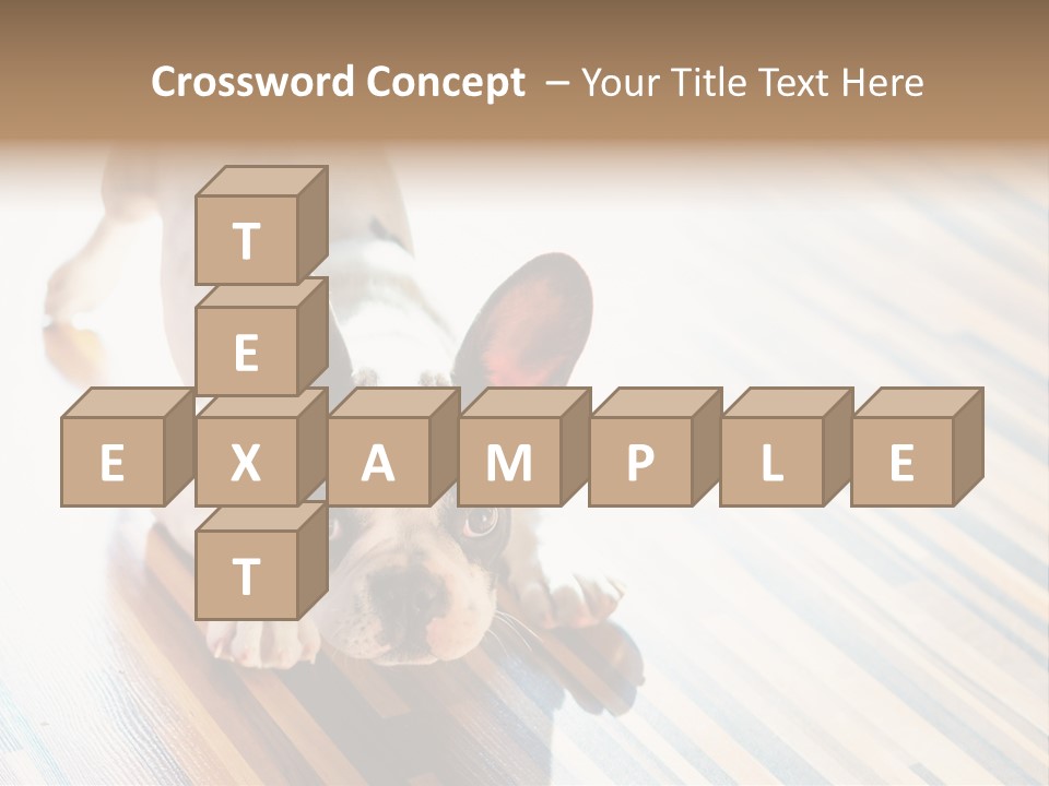 A Small Dog Laying On A Wooden Floor PowerPoint Template