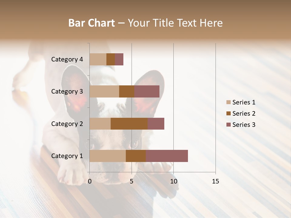 A Small Dog Laying On A Wooden Floor PowerPoint Template