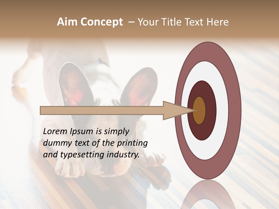 A Small Dog Laying On A Wooden Floor PowerPoint Template