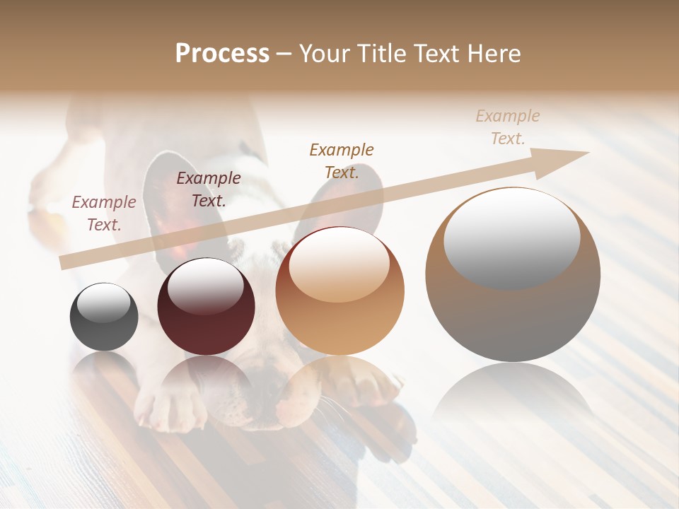 A Small Dog Laying On A Wooden Floor PowerPoint Template