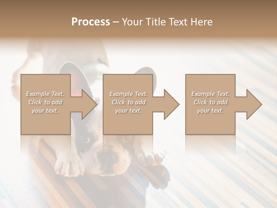 A Small Dog Laying On A Wooden Floor PowerPoint Template