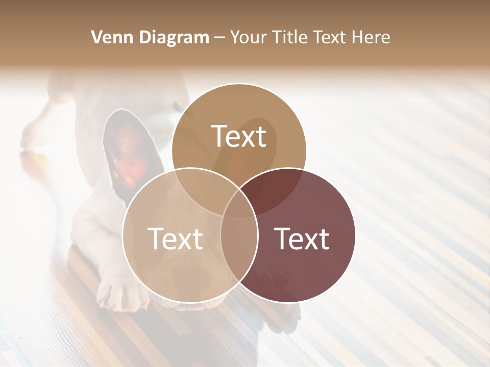 A Small Dog Laying On A Wooden Floor PowerPoint Template