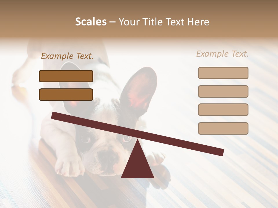 A Small Dog Laying On A Wooden Floor PowerPoint Template