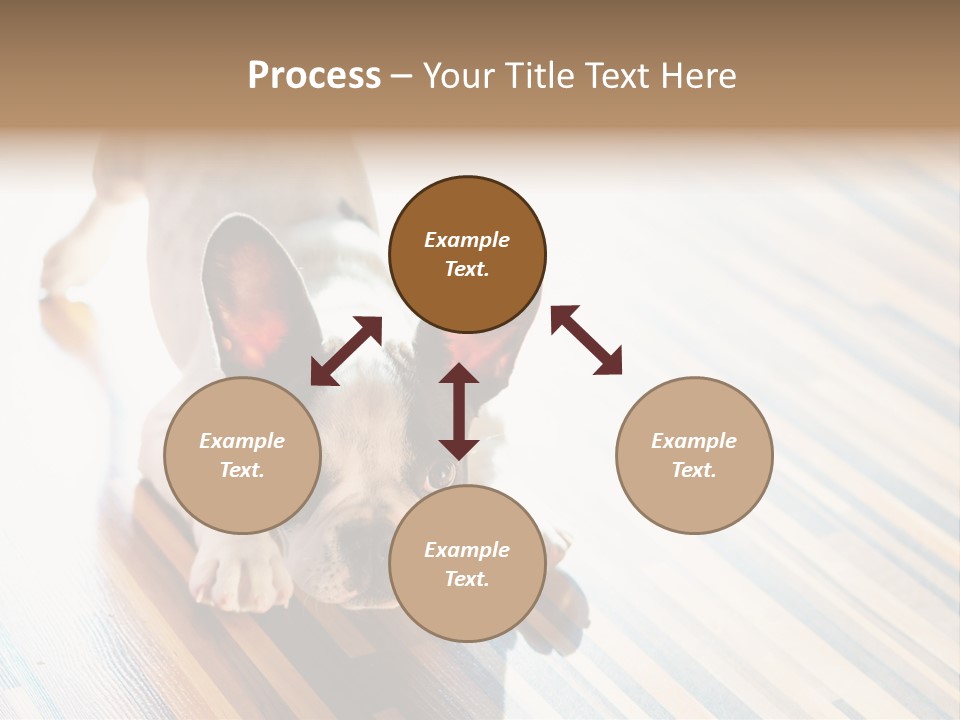 A Small Dog Laying On A Wooden Floor PowerPoint Template