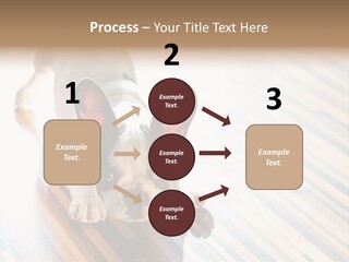 A Small Dog Laying On A Wooden Floor PowerPoint Template