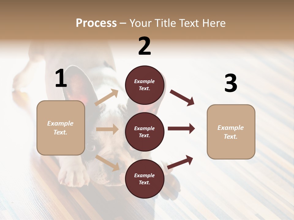 A Small Dog Laying On A Wooden Floor PowerPoint Template