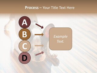 A Small Dog Laying On A Wooden Floor PowerPoint Template