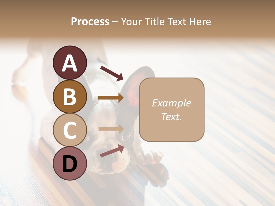 A Small Dog Laying On A Wooden Floor PowerPoint Template