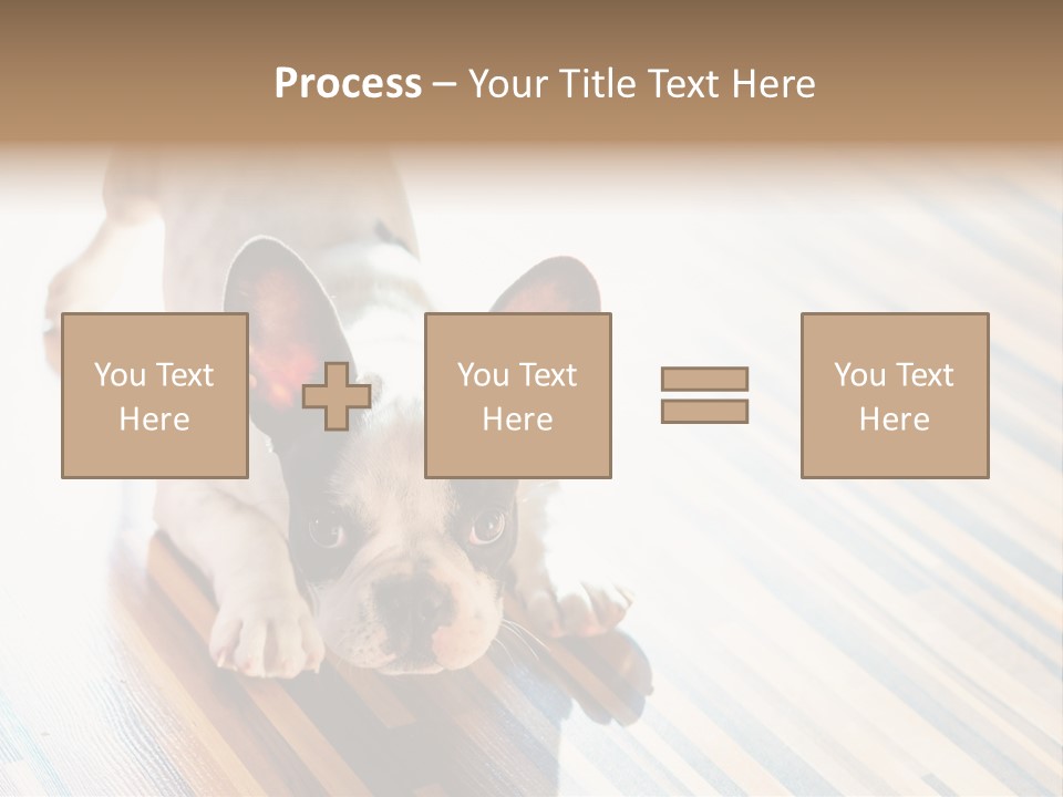 A Small Dog Laying On A Wooden Floor PowerPoint Template