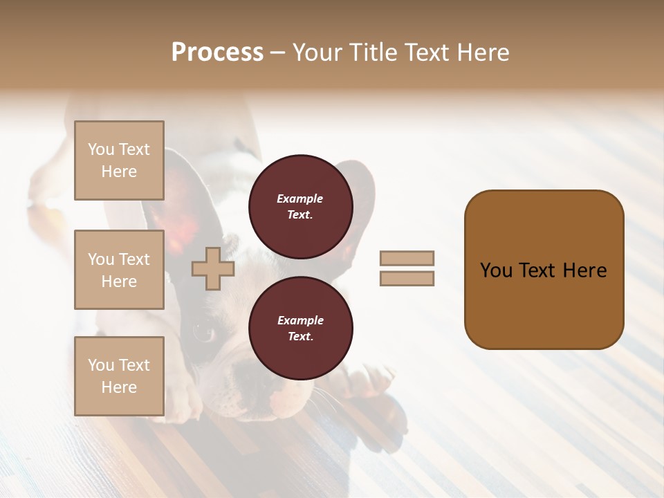 A Small Dog Laying On A Wooden Floor PowerPoint Template